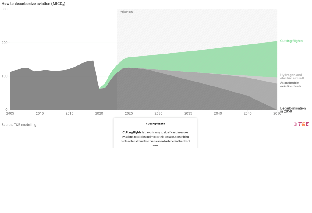 David and Goliath struggle playing out to stop Dublin Airport Authority expanding aviation at the expense of children’s futures